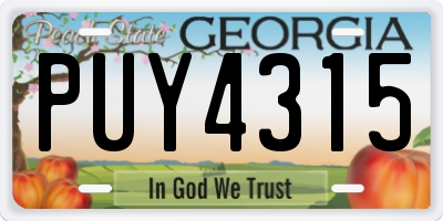 GA license plate PUY4315