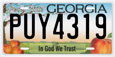 GA license plate PUY4319