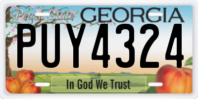 GA license plate PUY4324