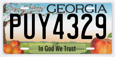GA license plate PUY4329