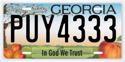 GA license plate PUY4333
