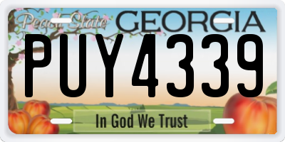 GA license plate PUY4339
