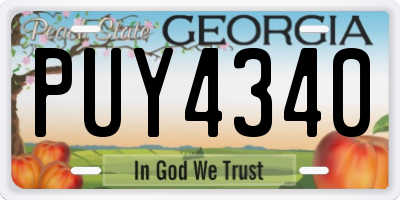 GA license plate PUY4340