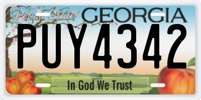 GA license plate PUY4342