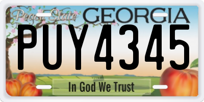 GA license plate PUY4345