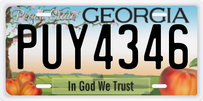 GA license plate PUY4346