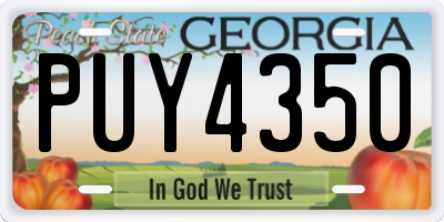 GA license plate PUY4350
