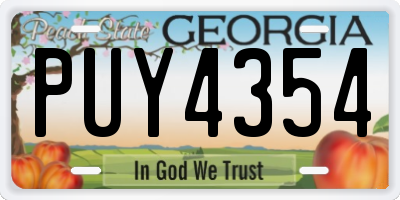 GA license plate PUY4354
