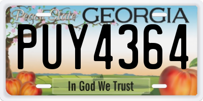 GA license plate PUY4364