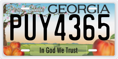 GA license plate PUY4365