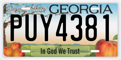 GA license plate PUY4381