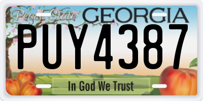 GA license plate PUY4387