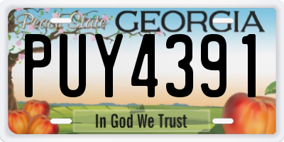 GA license plate PUY4391