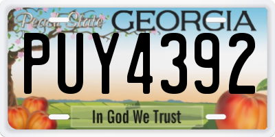 GA license plate PUY4392