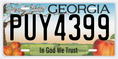 GA license plate PUY4399