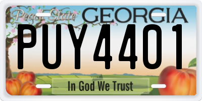 GA license plate PUY4401