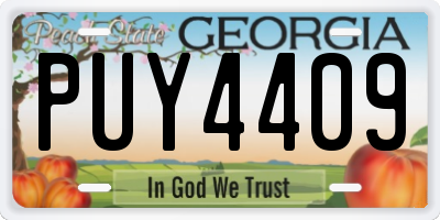 GA license plate PUY4409