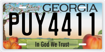 GA license plate PUY4411