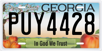 GA license plate PUY4428
