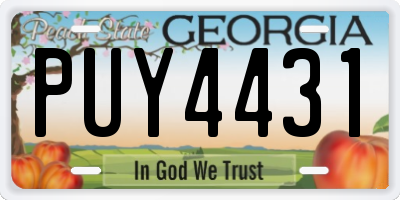 GA license plate PUY4431