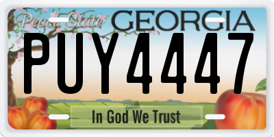 GA license plate PUY4447