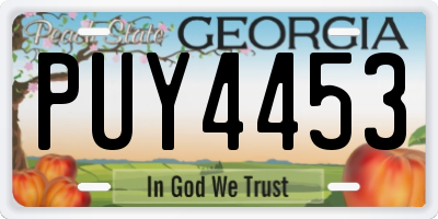 GA license plate PUY4453