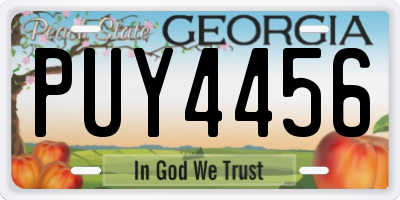 GA license plate PUY4456