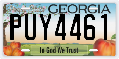 GA license plate PUY4461