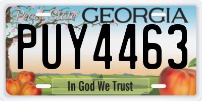 GA license plate PUY4463