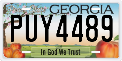 GA license plate PUY4489