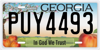 GA license plate PUY4493