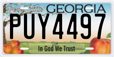 GA license plate PUY4497