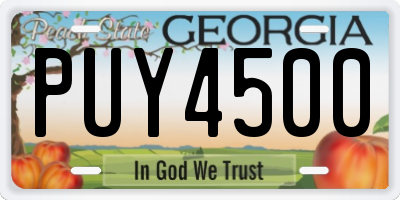 GA license plate PUY4500