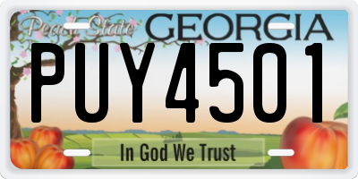 GA license plate PUY4501