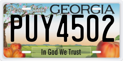 GA license plate PUY4502
