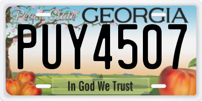 GA license plate PUY4507