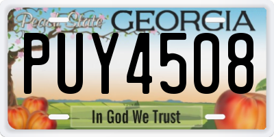 GA license plate PUY4508