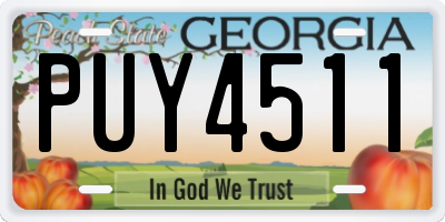 GA license plate PUY4511