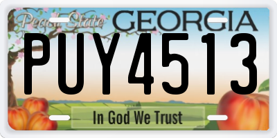 GA license plate PUY4513