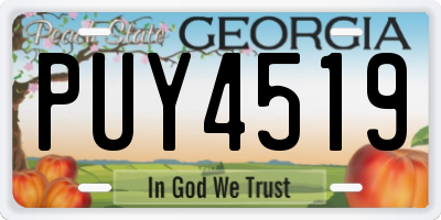 GA license plate PUY4519