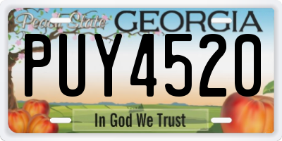 GA license plate PUY4520