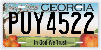 GA license plate PUY4522