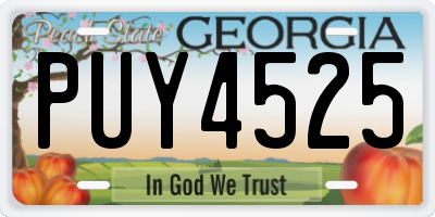 GA license plate PUY4525