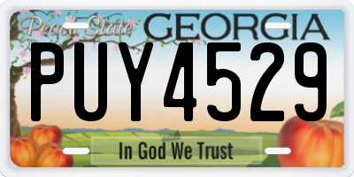 GA license plate PUY4529