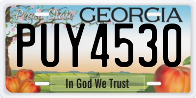 GA license plate PUY4530