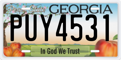 GA license plate PUY4531