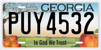 GA license plate PUY4532