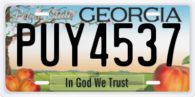 GA license plate PUY4537