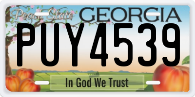 GA license plate PUY4539