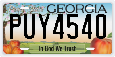 GA license plate PUY4540